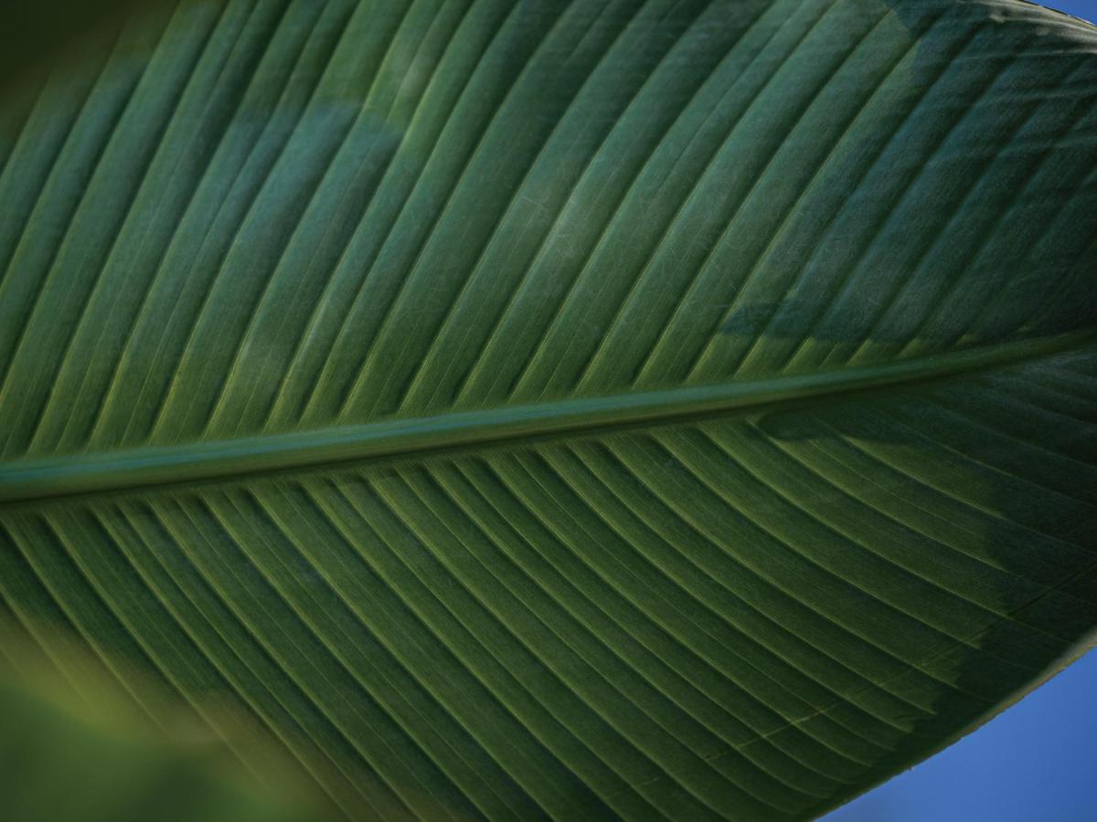 Homm Stay Yumiha Okinawa By Banyan Tree Group Onna Eksteriør bilde